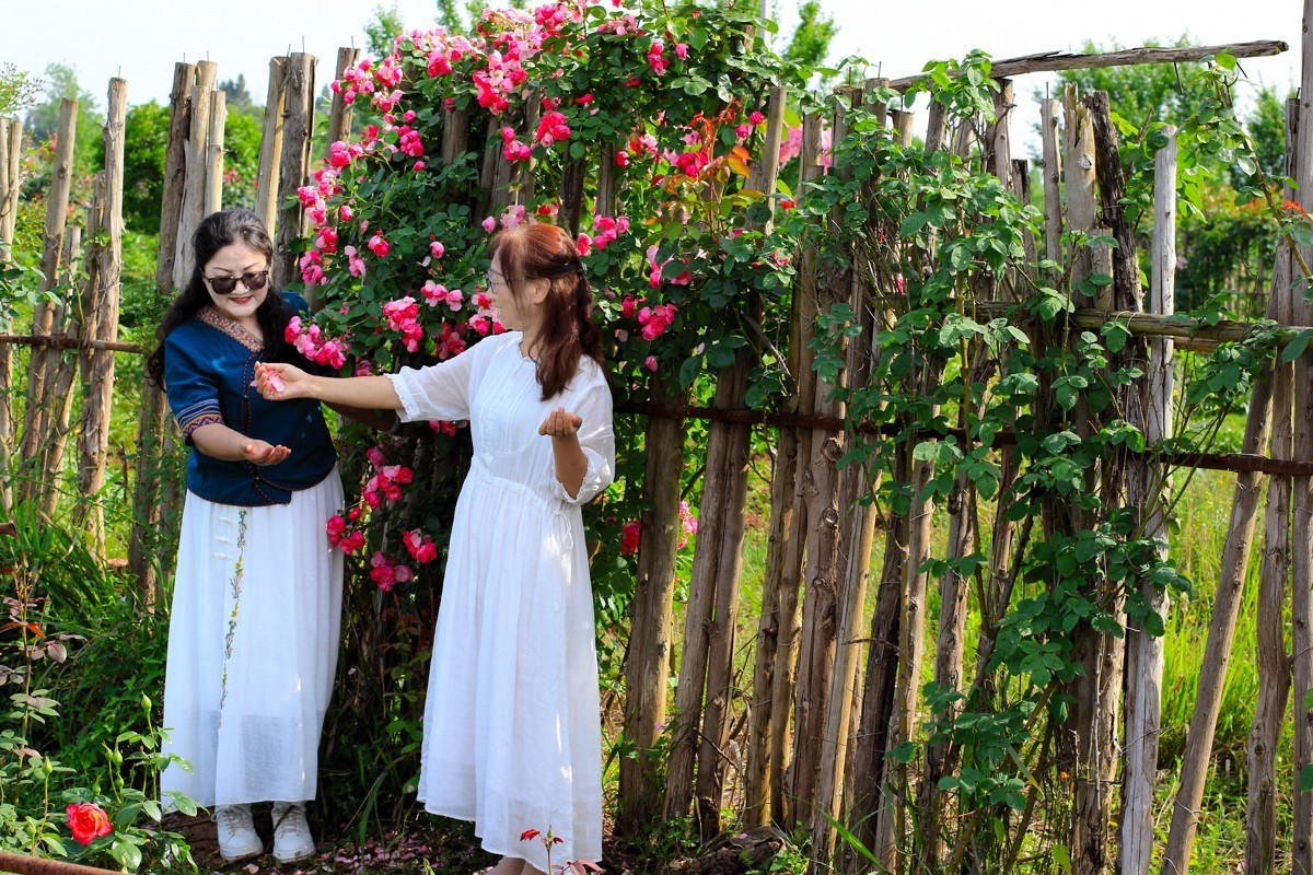 人间最美四月天