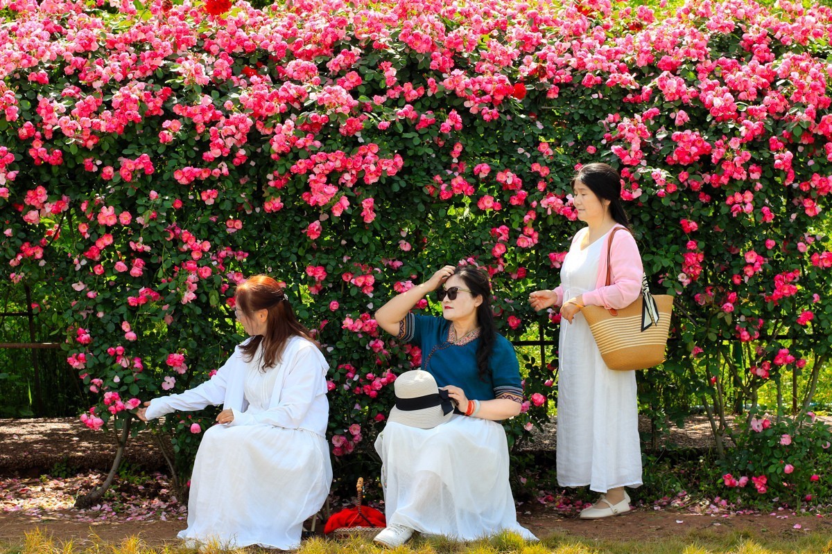 人间最美四月天