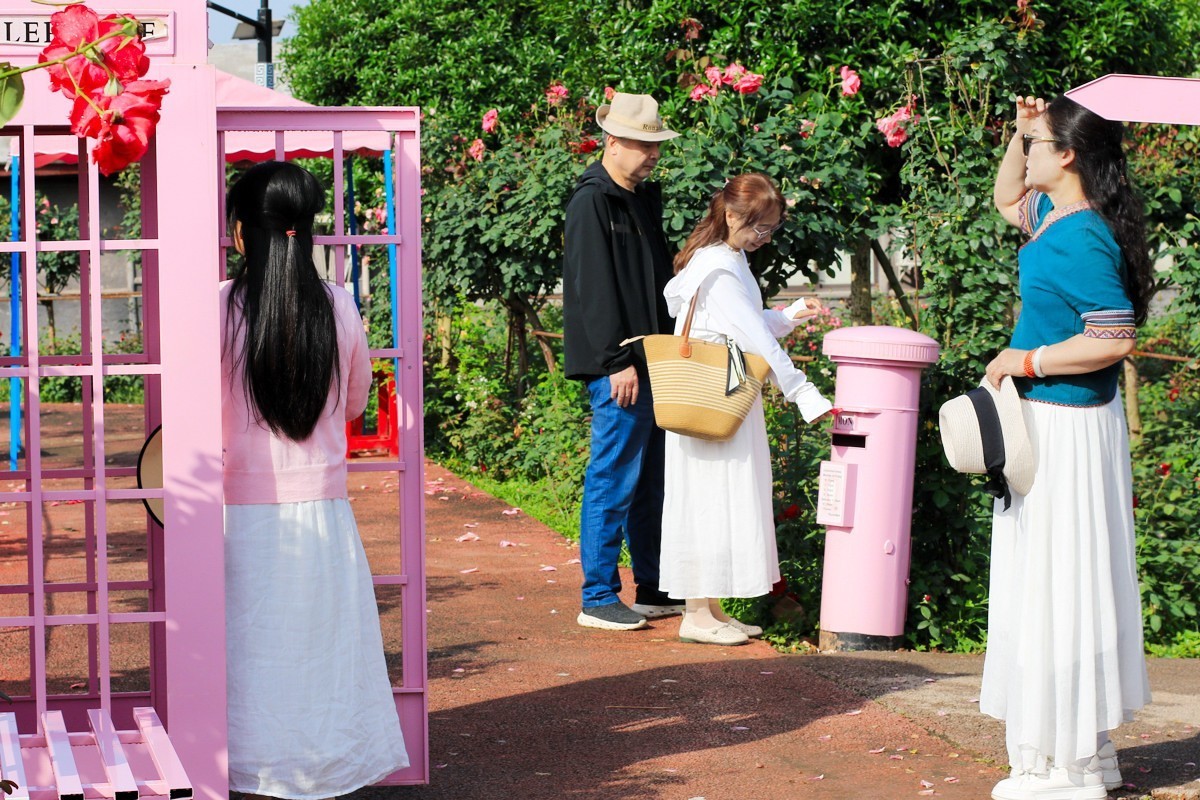 人间最美四月天