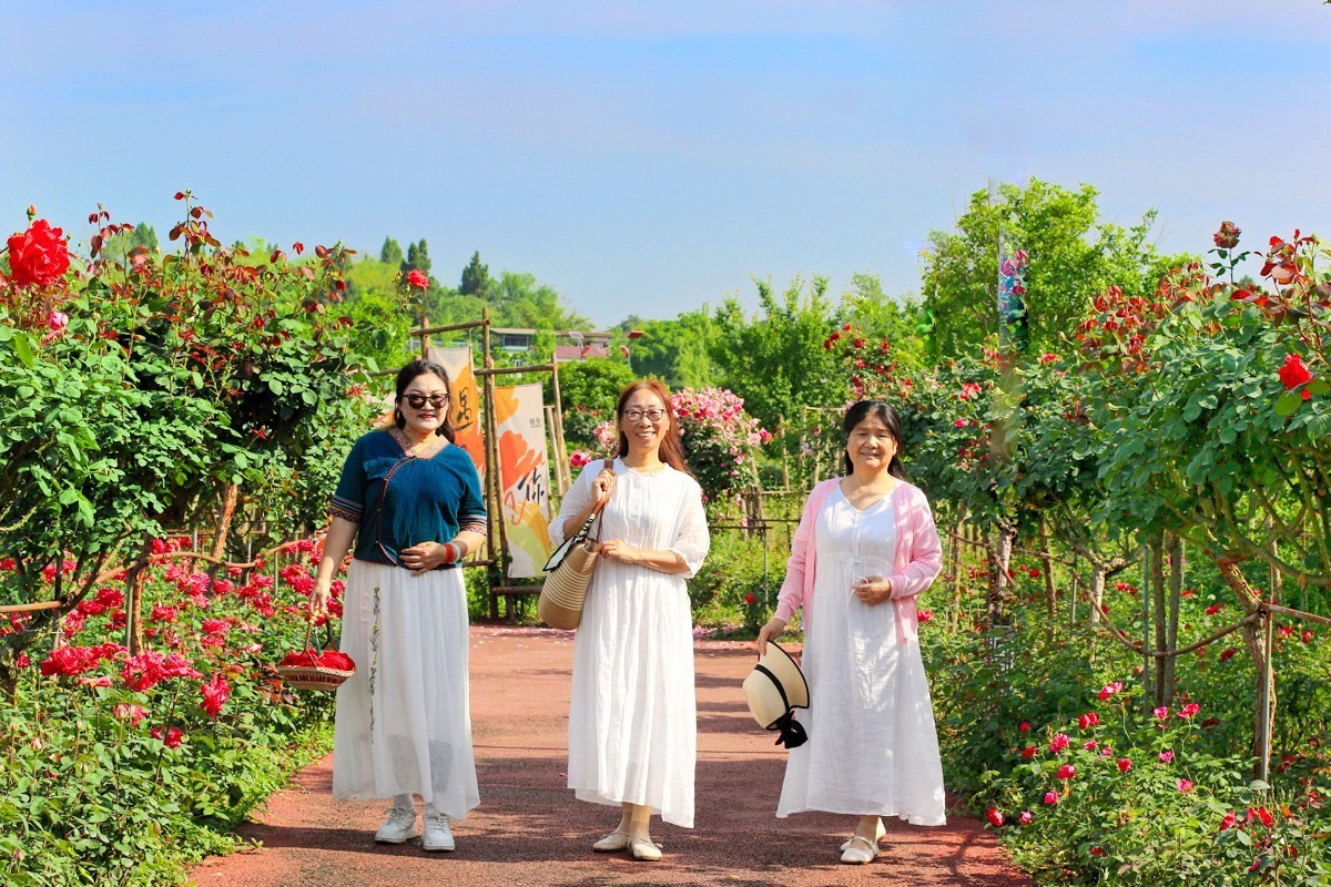 人间最美四月天