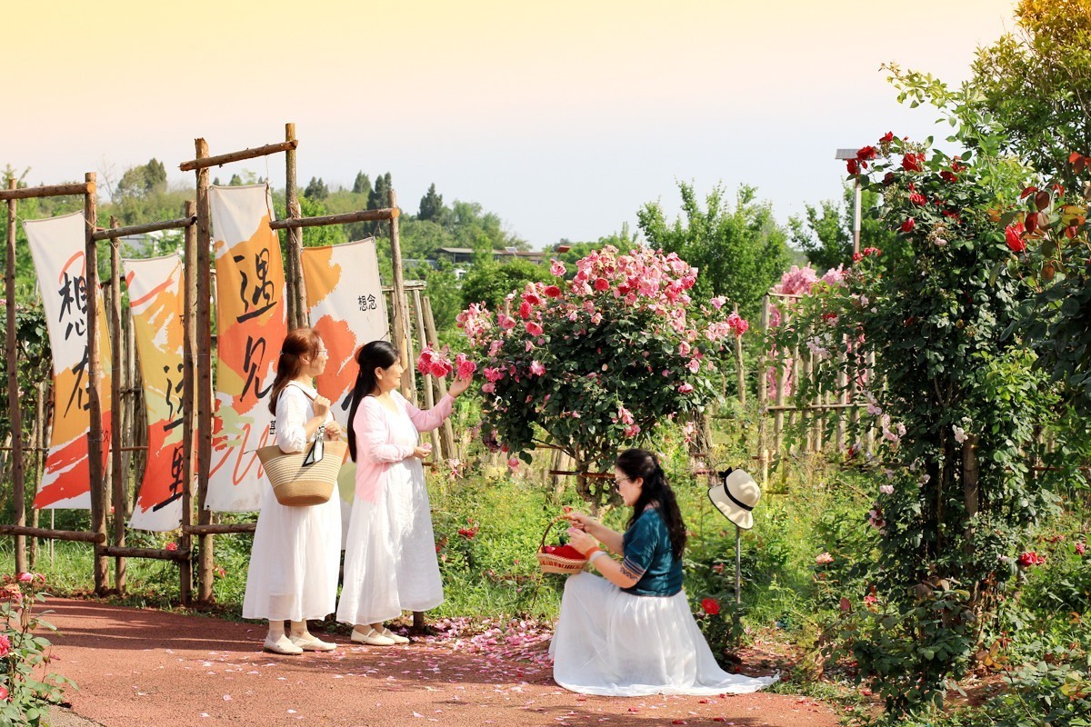 人间最美四月天