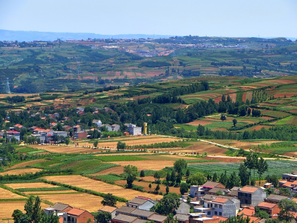 关中的普罗旺斯  蓝田鲍旗寨