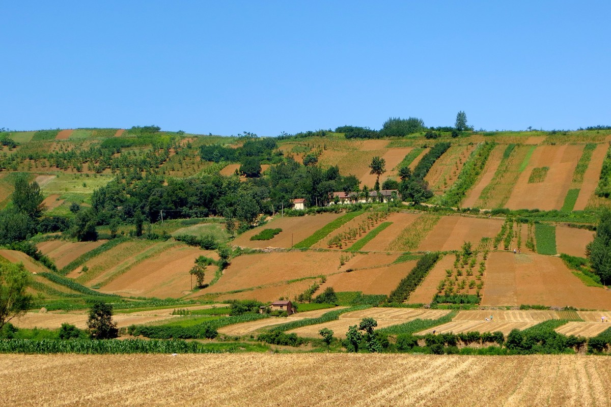 关中的普罗旺斯  蓝田鲍旗寨