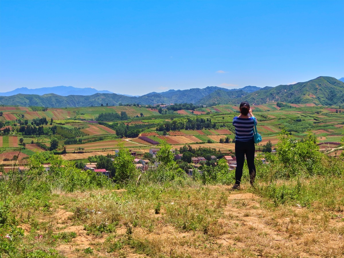 关中的普罗旺斯  蓝田鲍旗寨