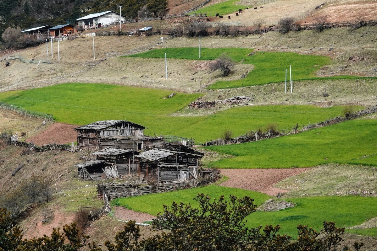 西行散论——蔡隅至蔡瓦龙公路风光