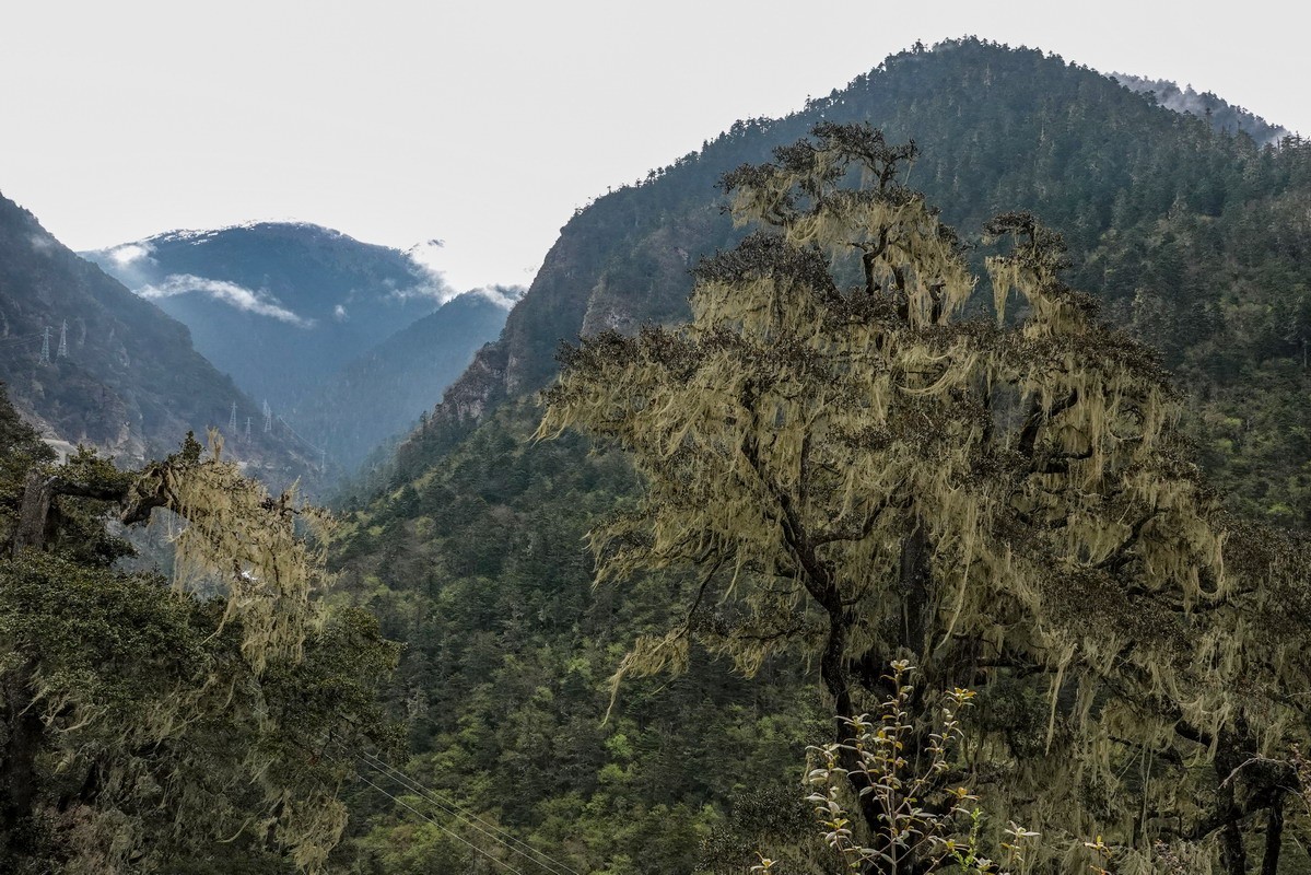 西行散论——蔡隅至蔡瓦龙公路风光