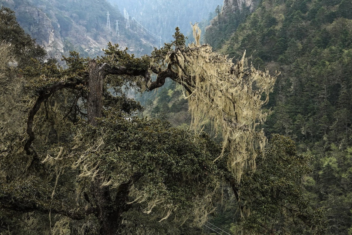 西行散论——蔡隅至蔡瓦龙公路风光