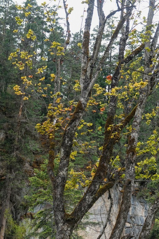 西行散论——蔡隅至蔡瓦龙公路风光