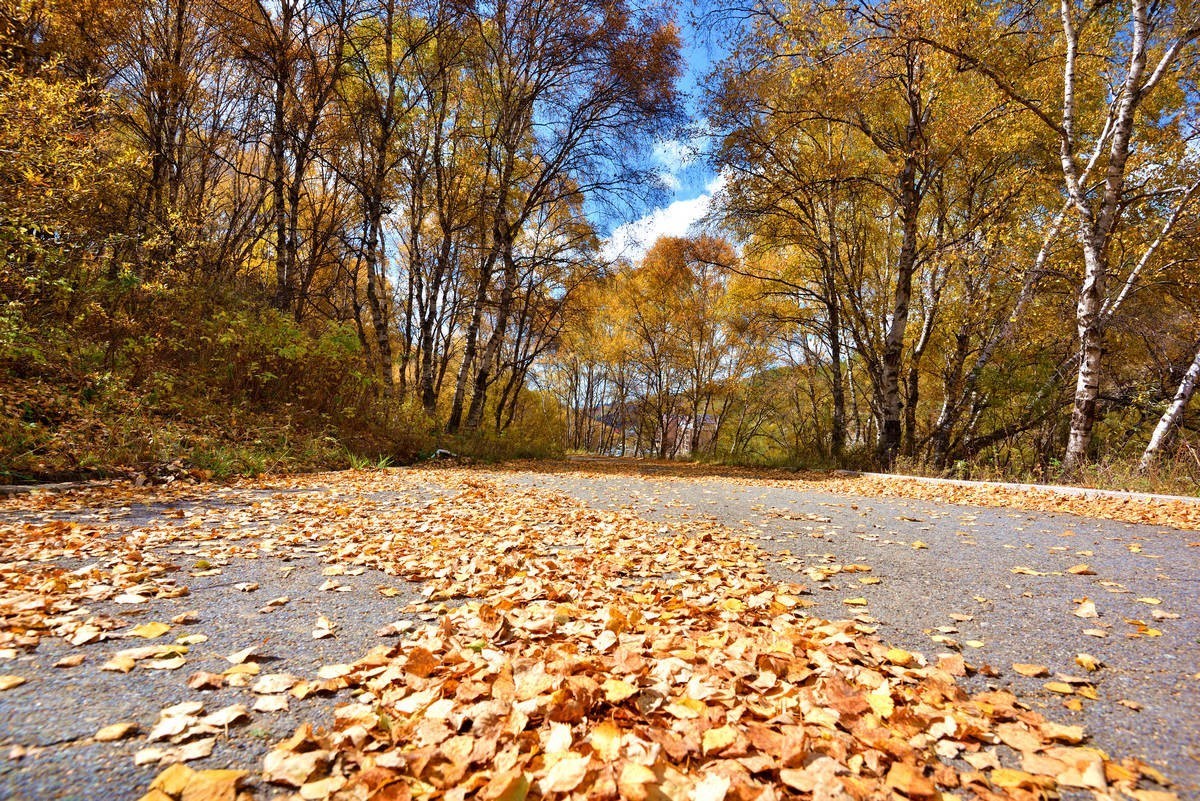崇礼---翠云山秋色      1/2