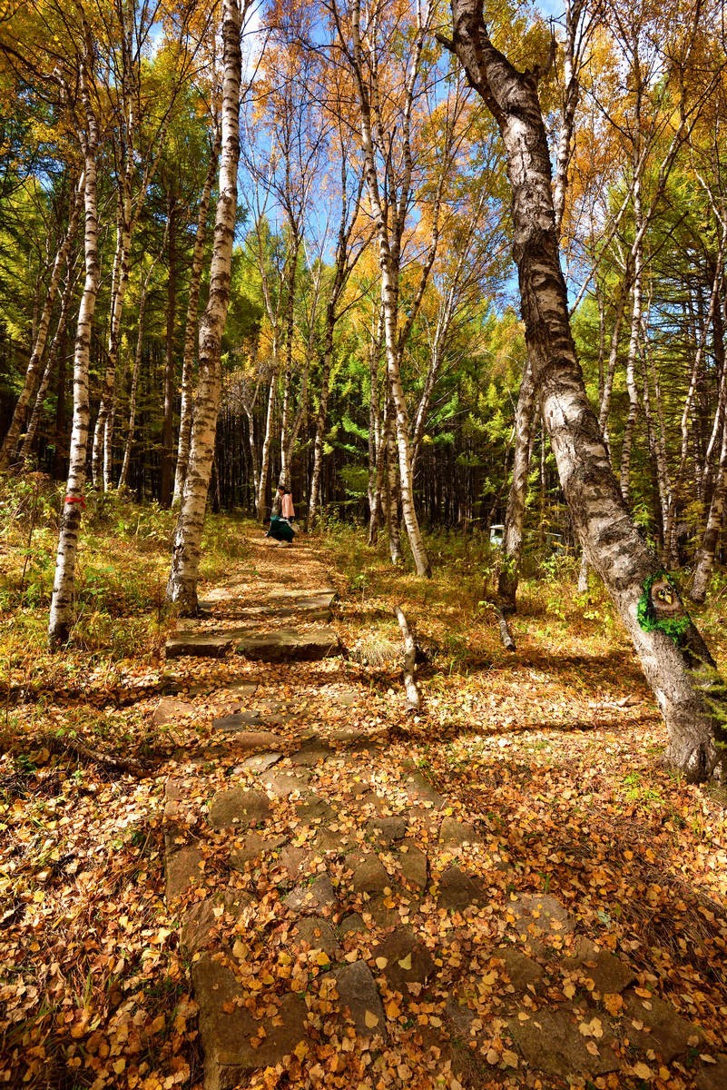 崇礼---翠云山秋色      1/2