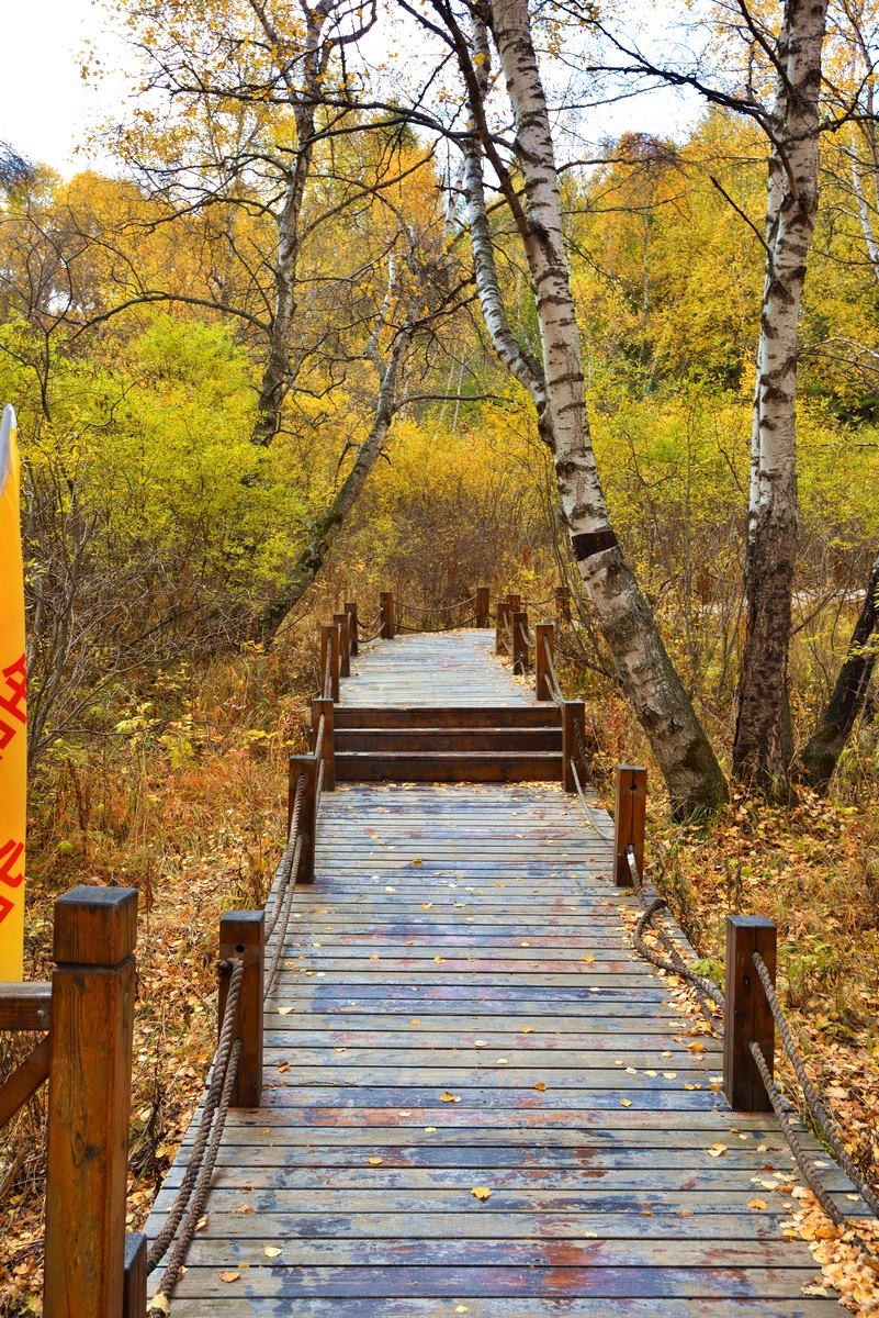 崇礼---翠云山秋色      1/2