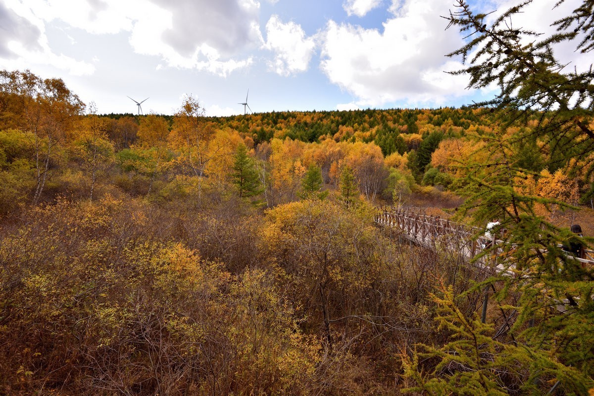 崇礼---翠云山秋色      1/2