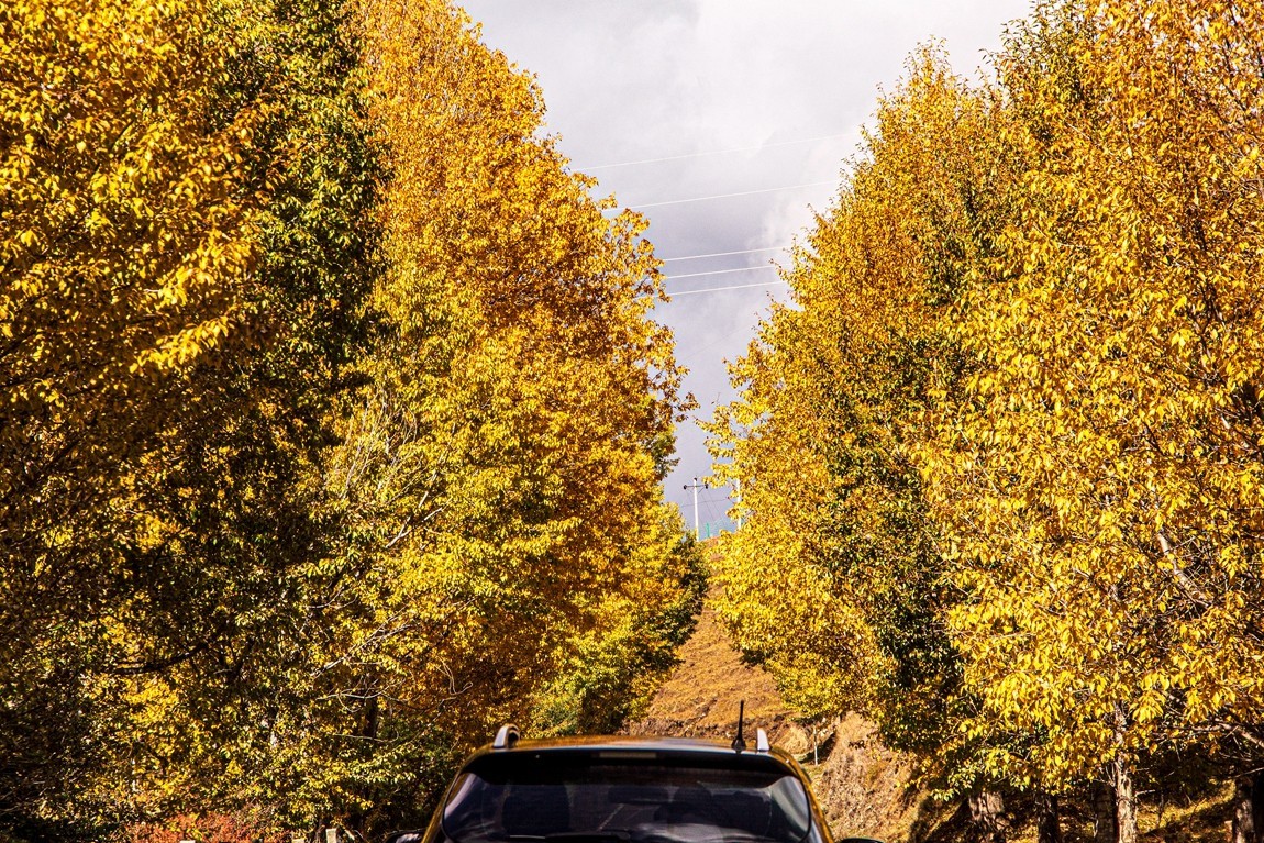 秋行川西高原--新都桥路拍【3】