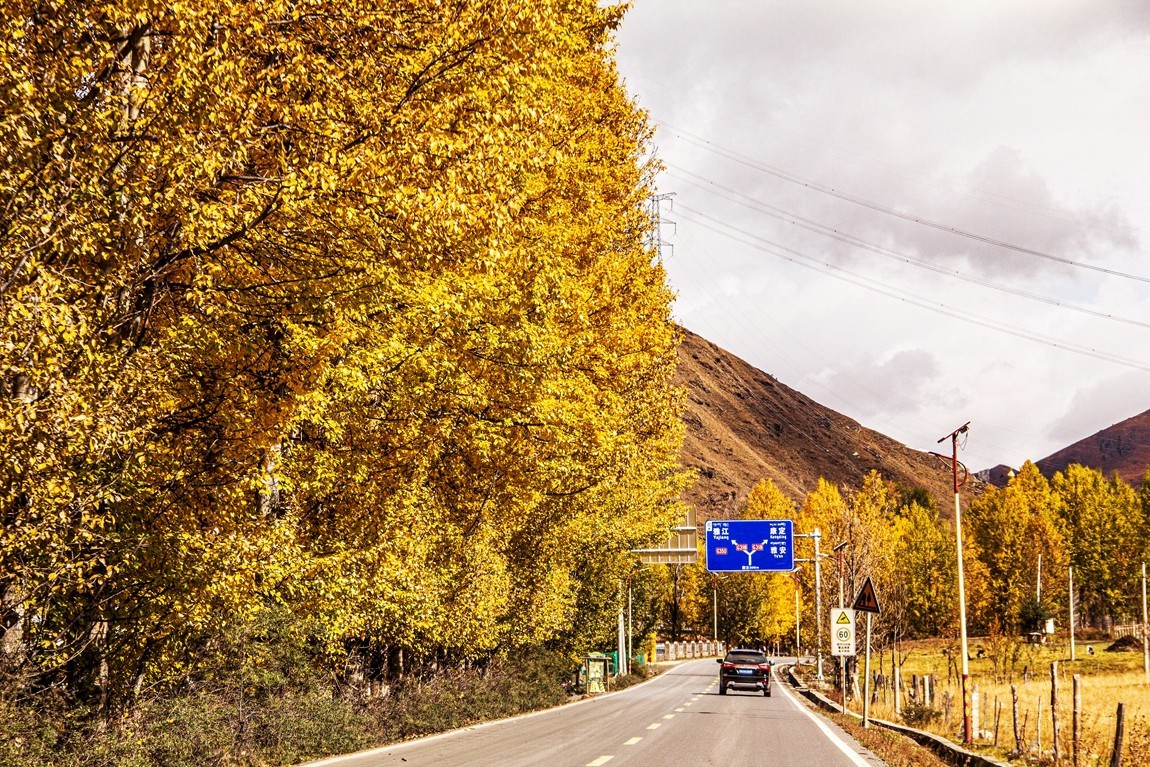 秋行川西高原--新都桥路拍【3】