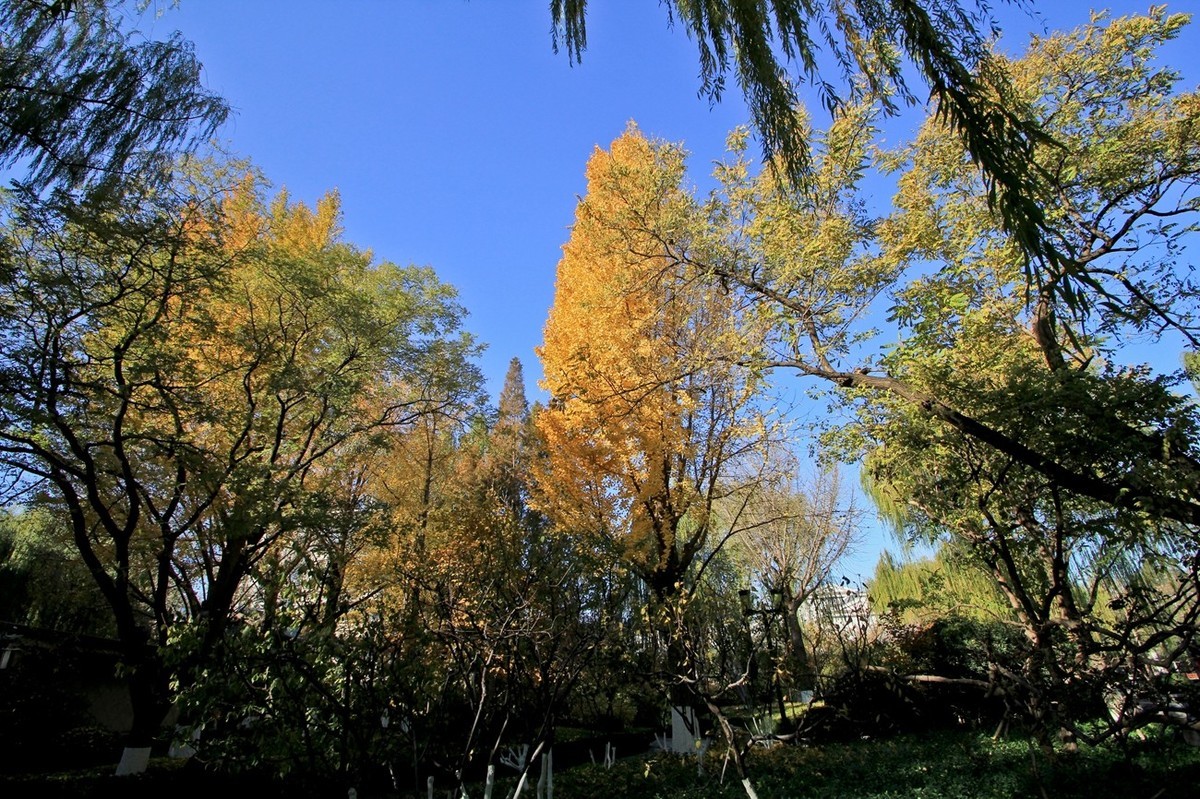泉水清清——多彩五龙潭