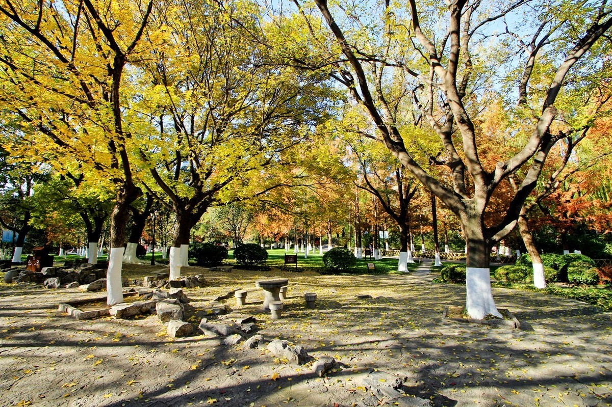 泉水清清——多彩五龙潭