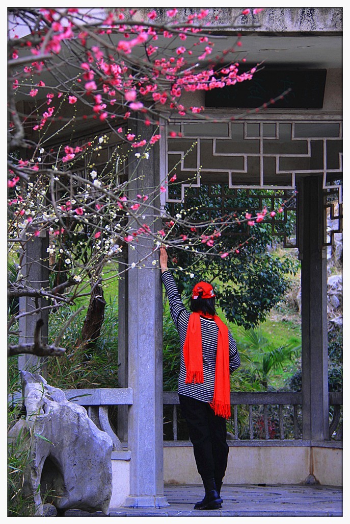 暗香疏影几黄昏