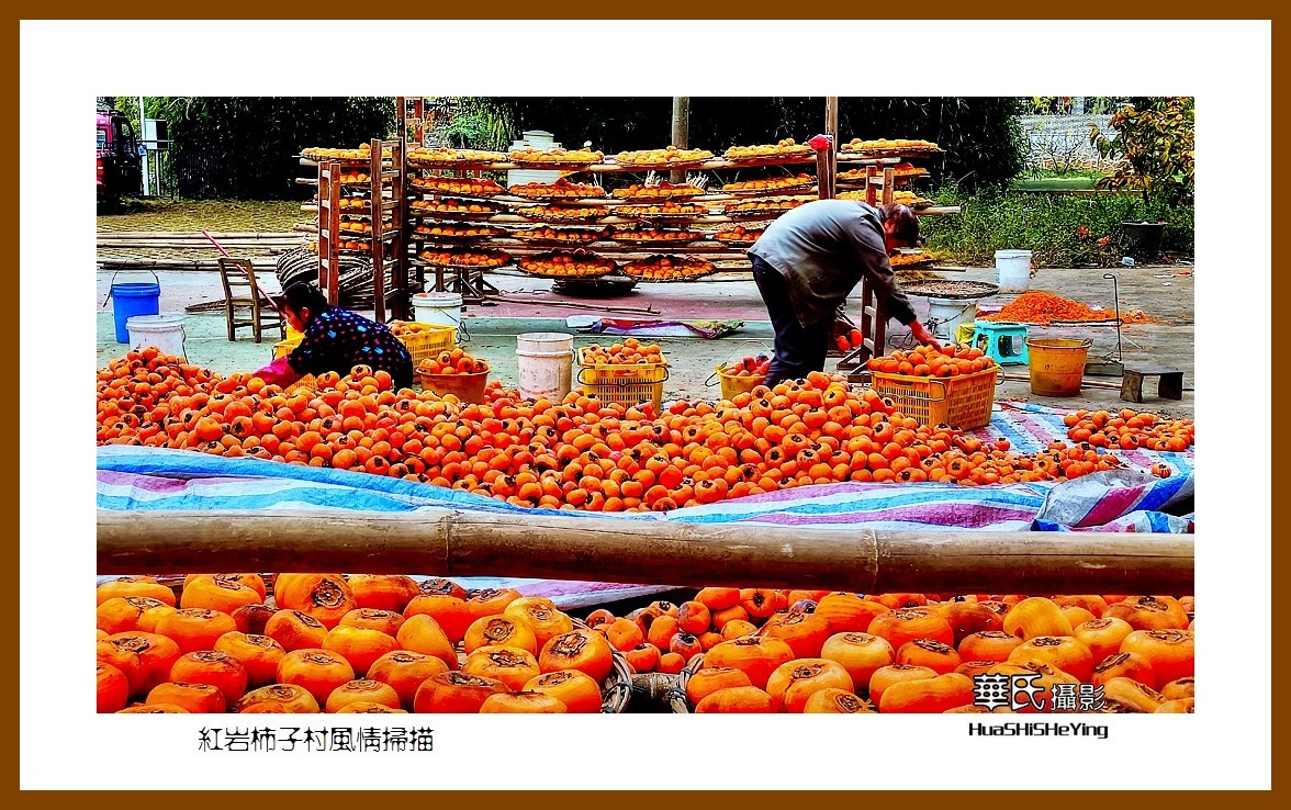 2021南行慢游（广西118）—红岩柿子村风情扫描（桂林市恭城县）