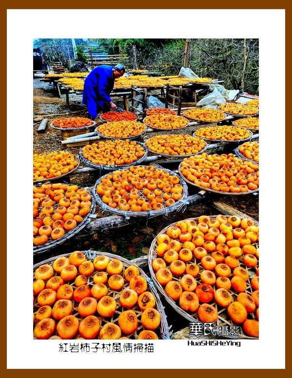 2021南行慢游（广西118）—红岩柿子村风情扫描（桂林市恭城县）