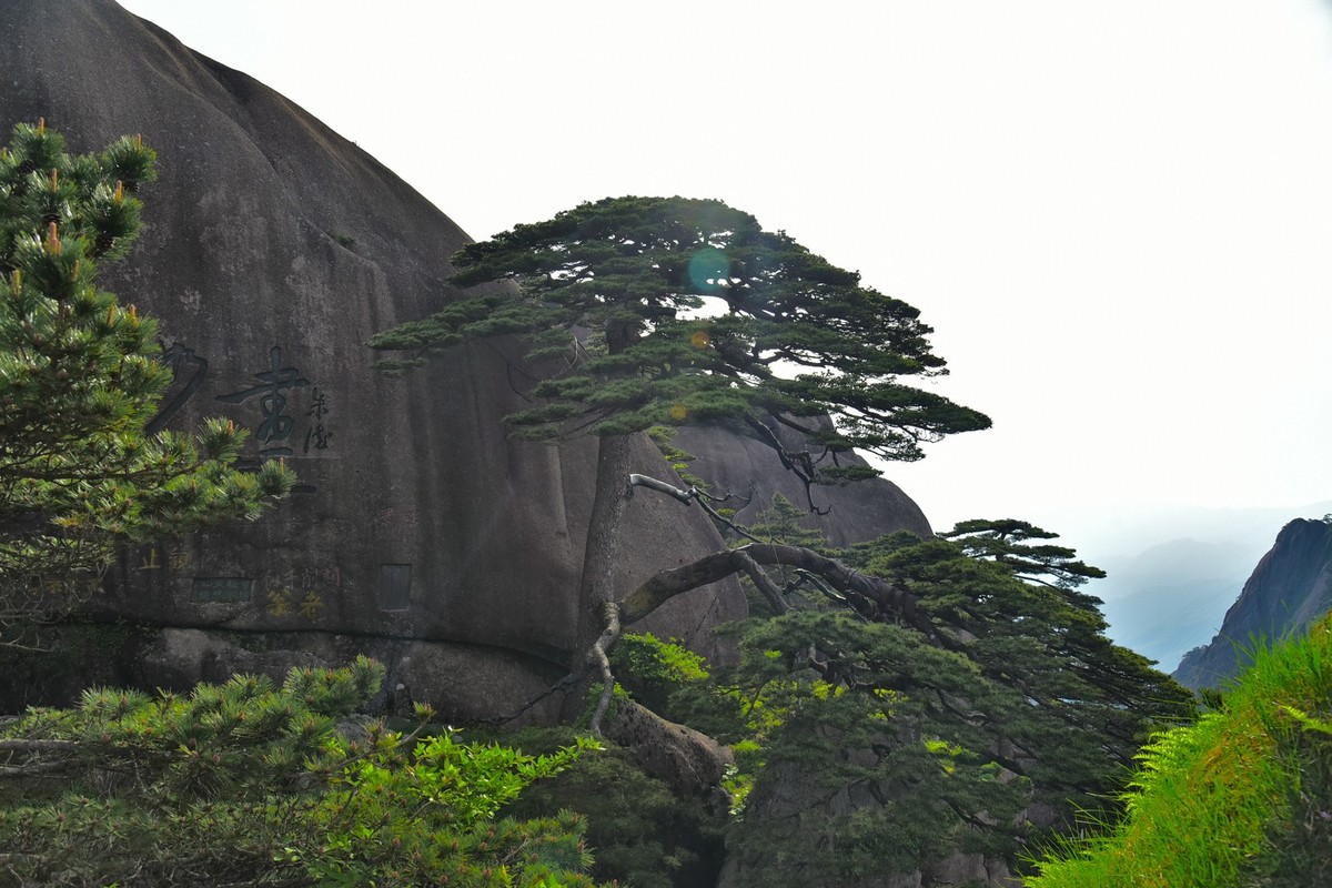 无梦徽州，天下黄山(二）