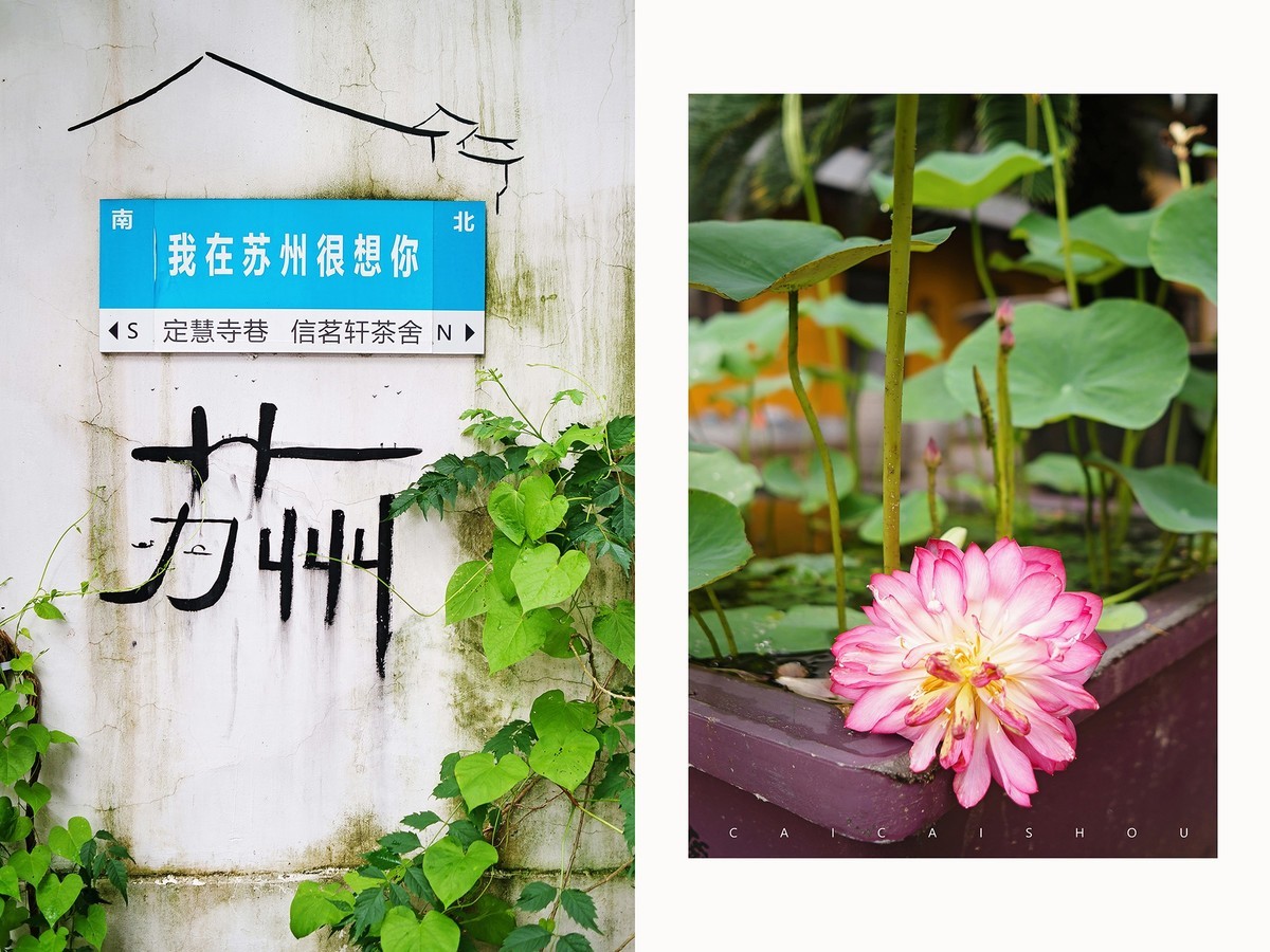 【菜々手摄影】雨中苏州