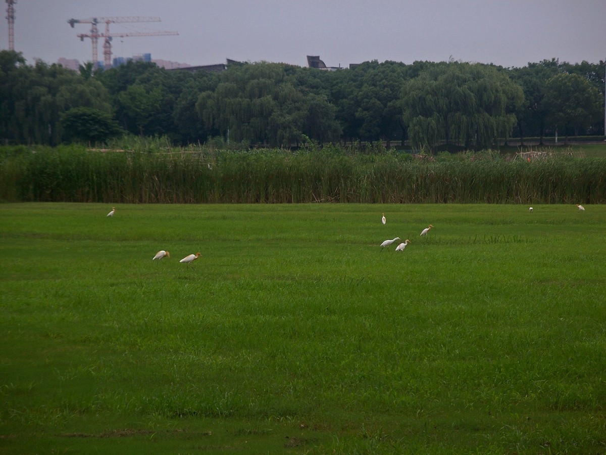 柯达C875防潮热机随拍