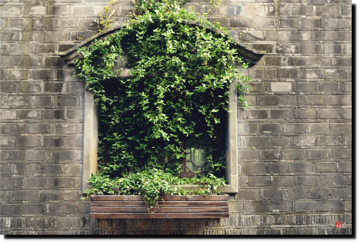 来看看南京老门东！