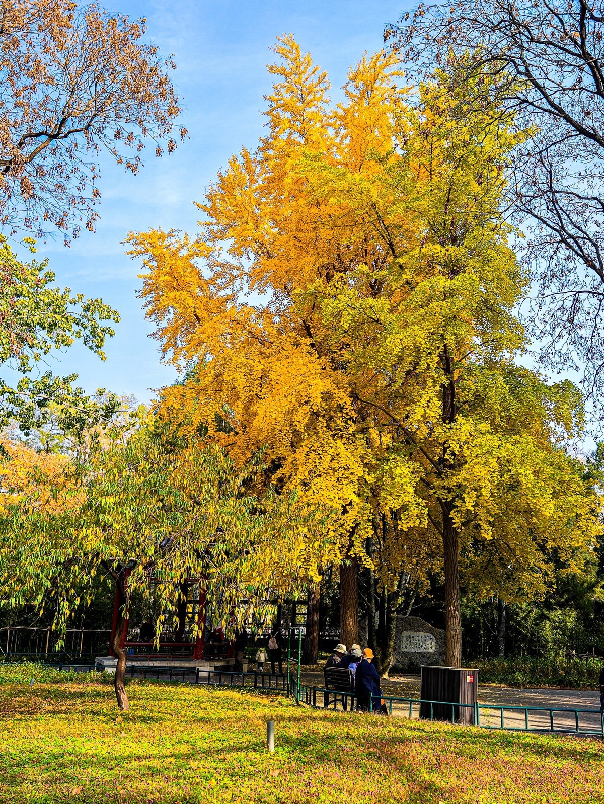 手机游拍20241112 《12》