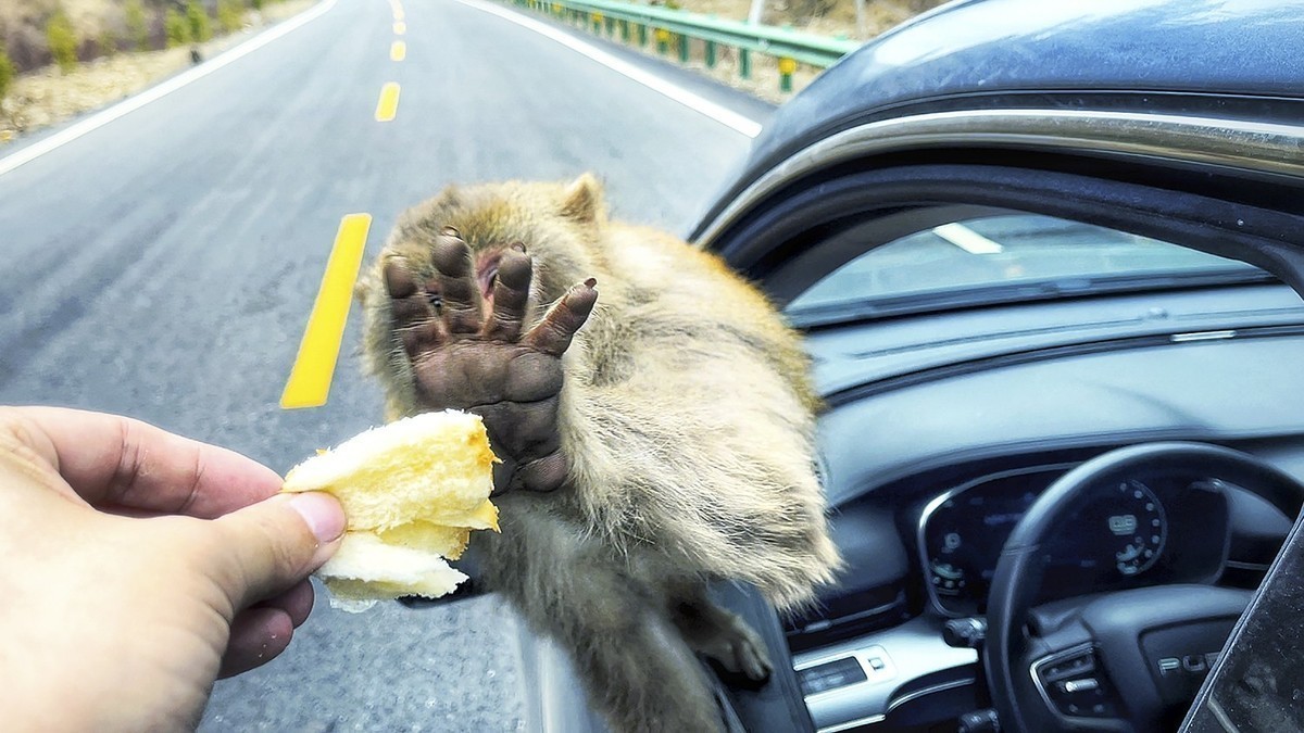 《你好，西藏！》又一次牵手之旅，依旧全程手机拍摄