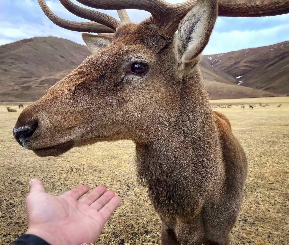 《你好，西藏！》又一次牵手之旅，依旧全程手机拍摄