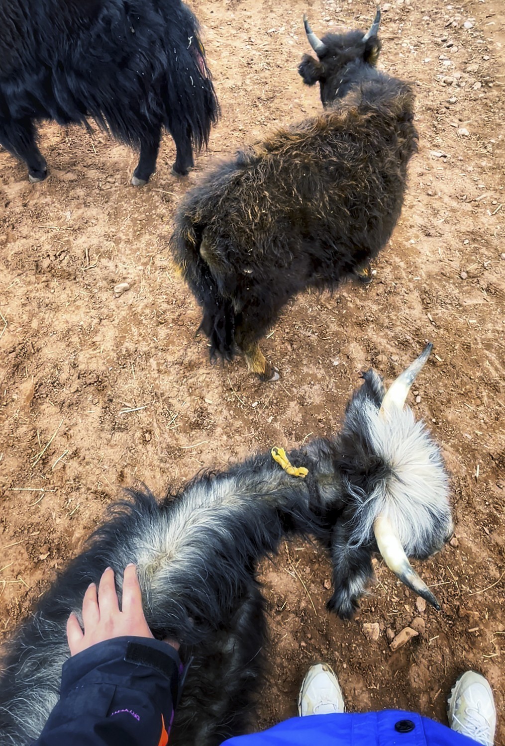 《你好，西藏！》又一次牵手之旅，依旧全程手机拍摄