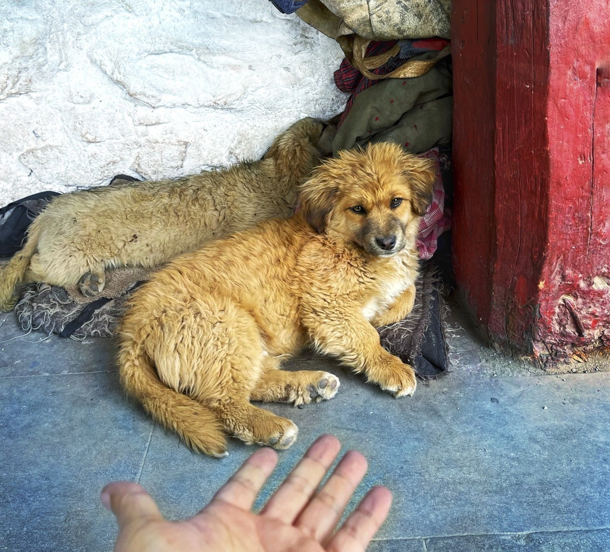 《你好，西藏！》又一次牵手之旅，依旧全程手机拍摄