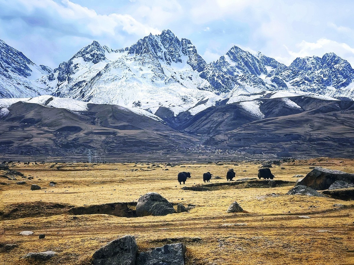 《你好，西藏！》又一次牵手之旅，依旧全程手机拍摄
