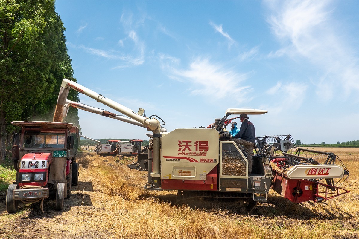 夏收机械收割