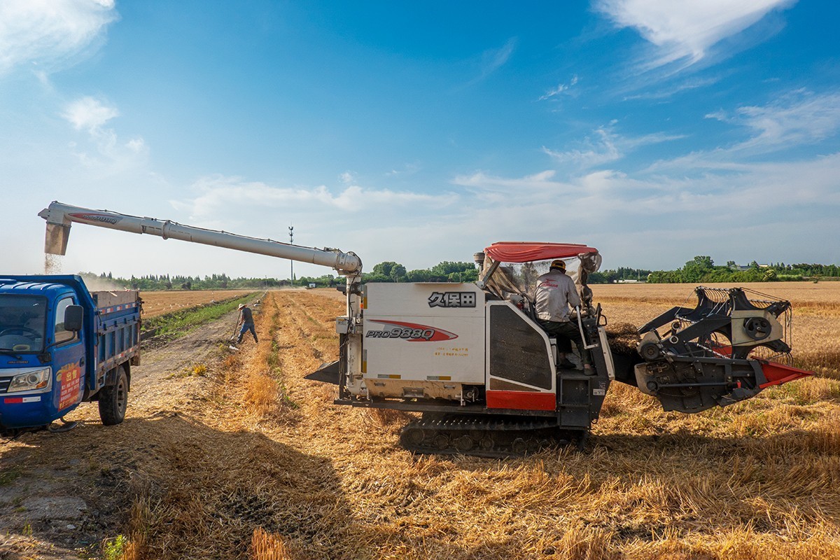 夏收机械收割