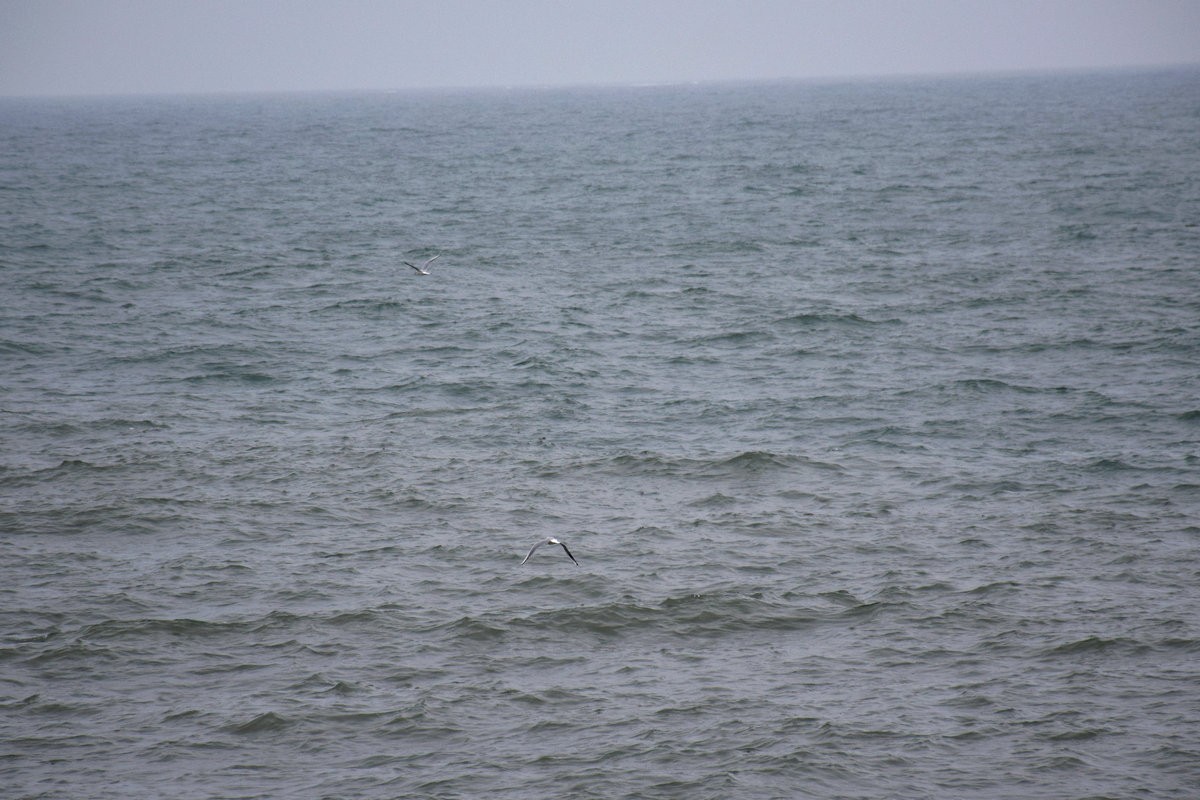 2023春节 桂粤行（23）水天一线  惊涛如诉