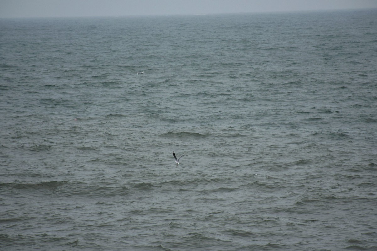 2023春节 桂粤行（23）水天一线  惊涛如诉