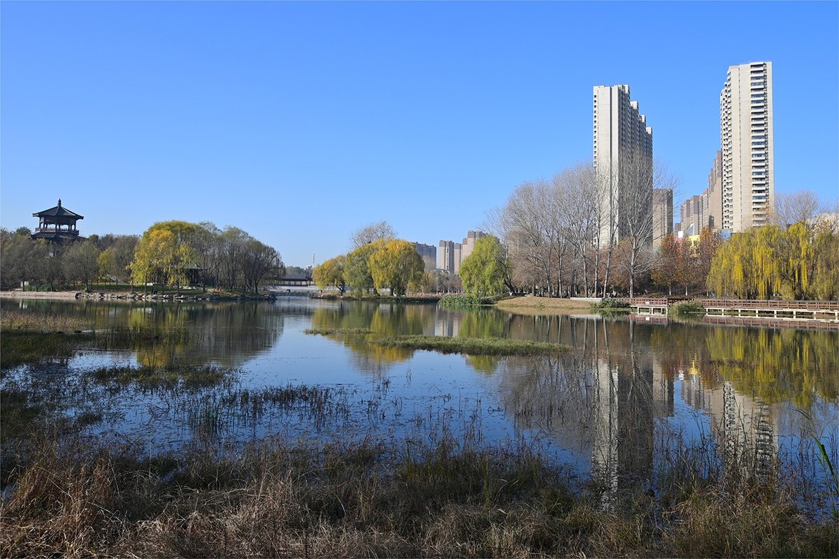 冬天的日子也有阳光