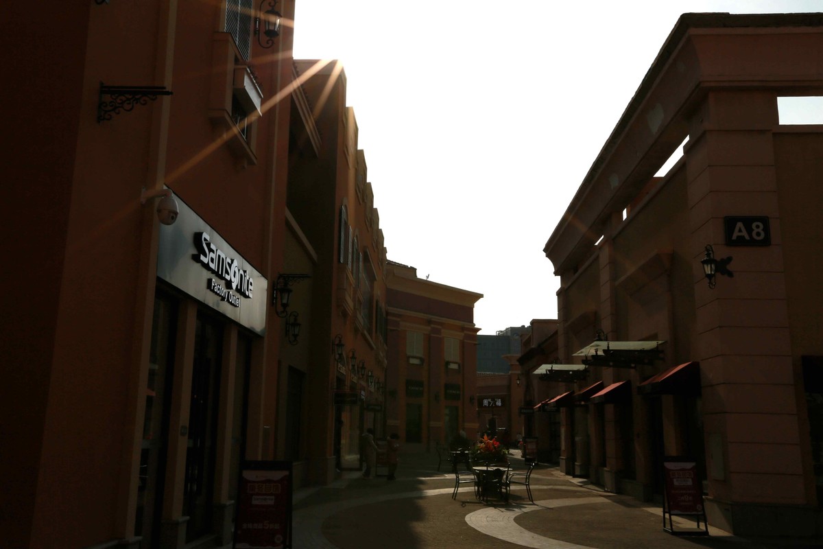 2024年元月拍燕莎逆光