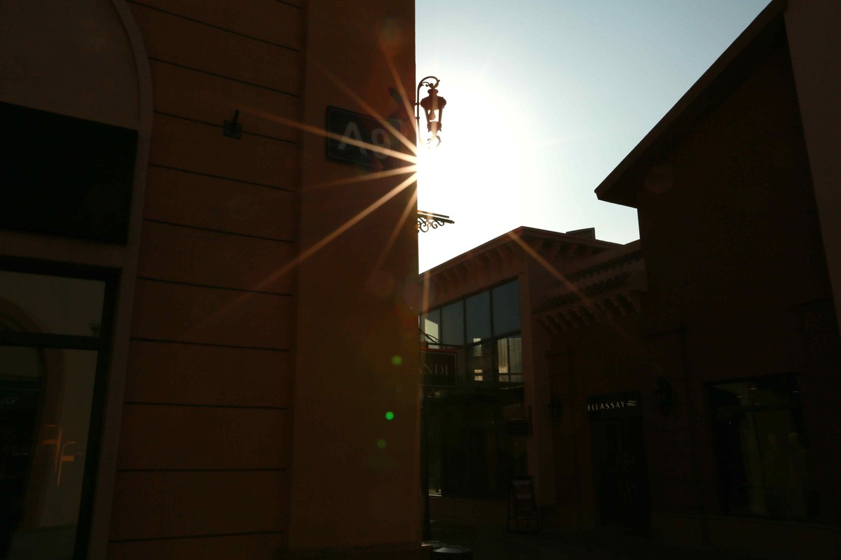 2024年元月拍燕莎逆光