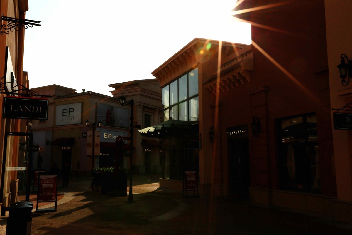 2024年元月拍燕莎逆光