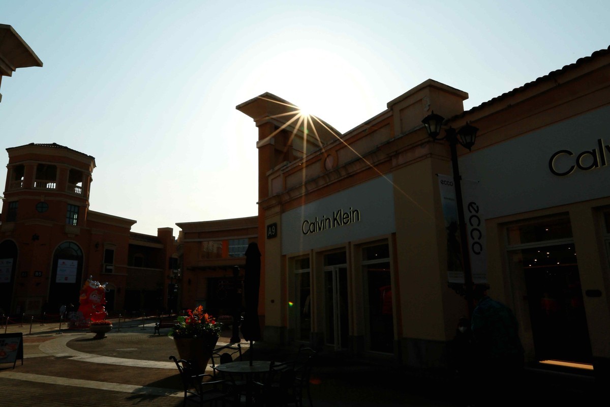 2024年元月拍燕莎逆光