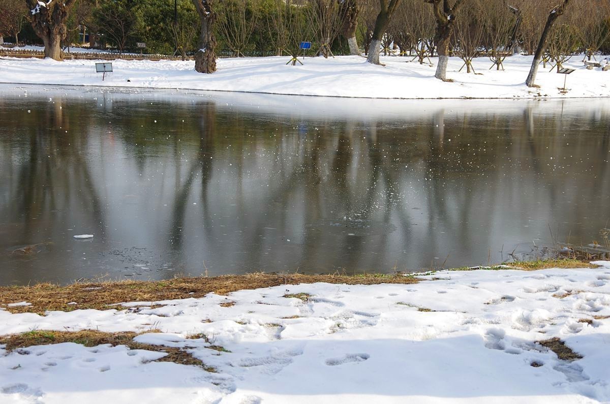 风雨送春归、飞雪迎春到