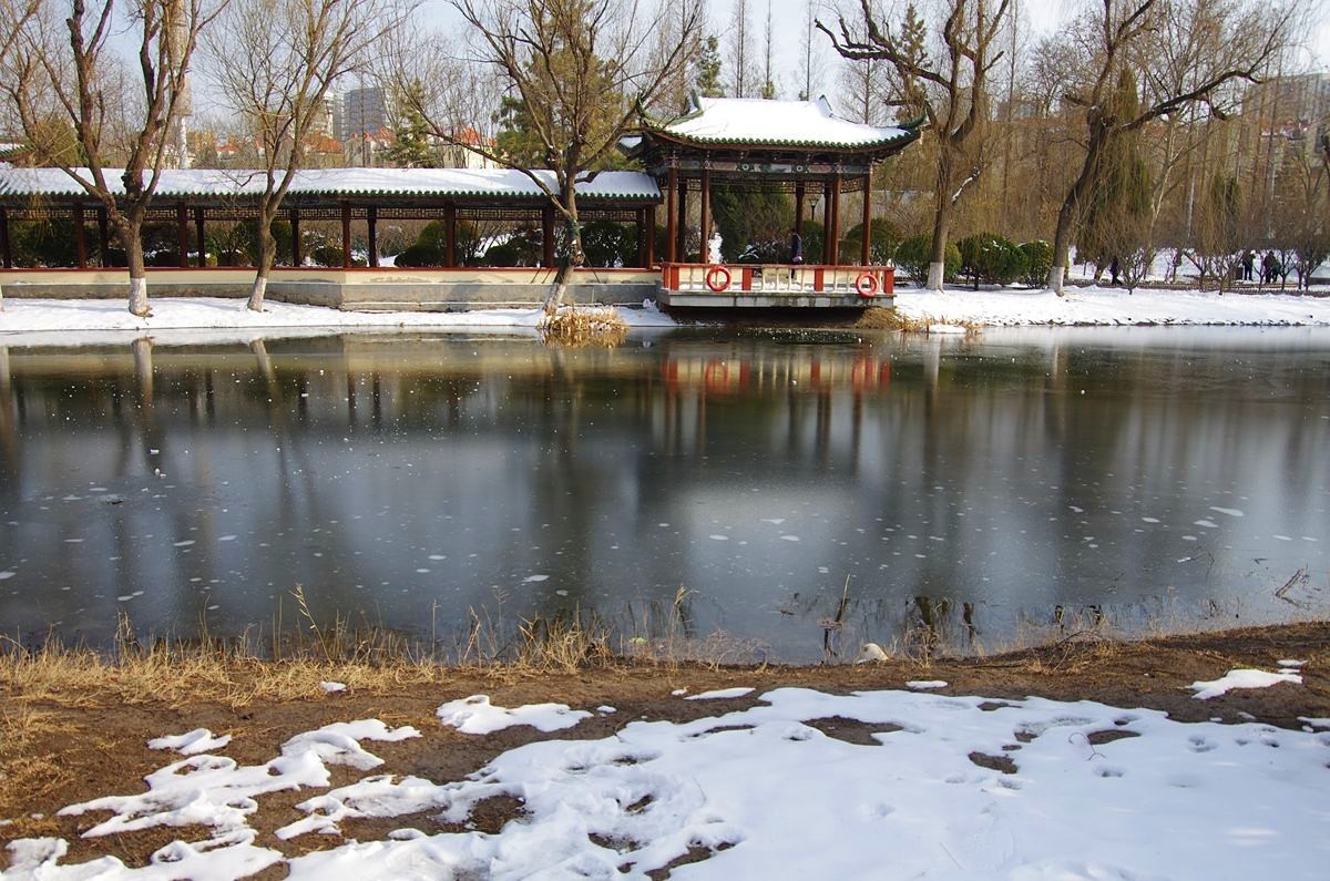 风雨送春归、飞雪迎春到