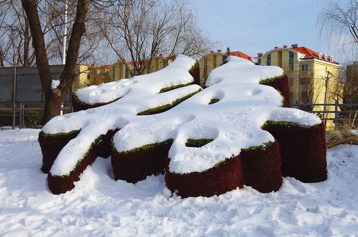 风雨送春归、飞雪迎春到