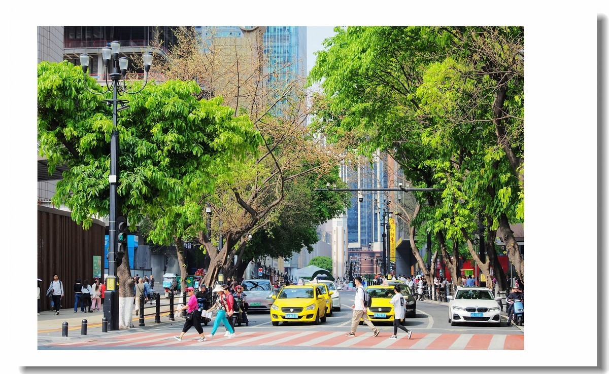 【 重庆街拍图集 】