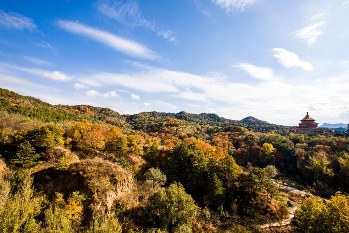 外出随拍（续324）.