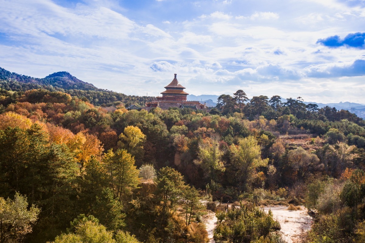 外出随拍（续324）.