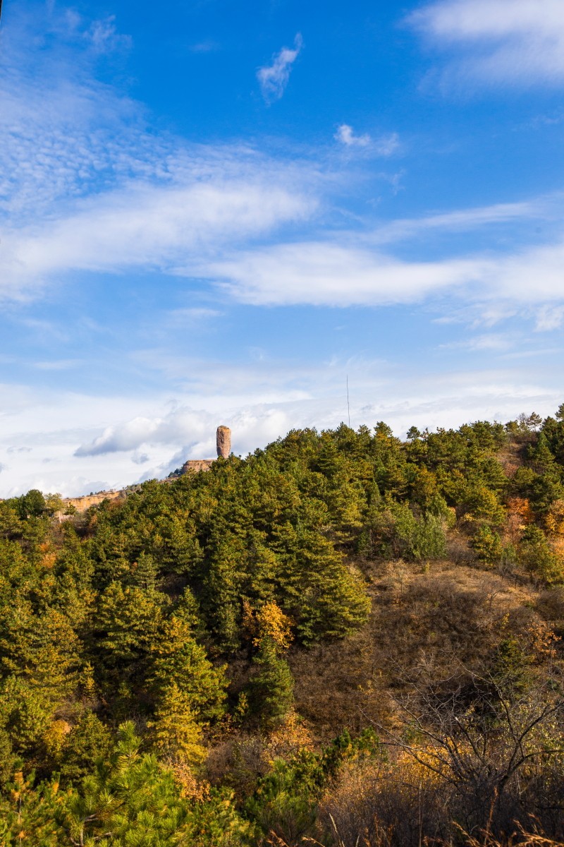 外出随拍（续324）.