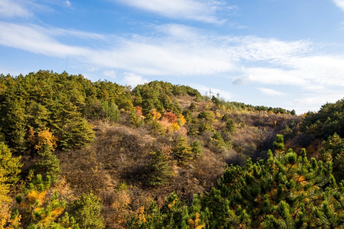 外出随拍（续324）.